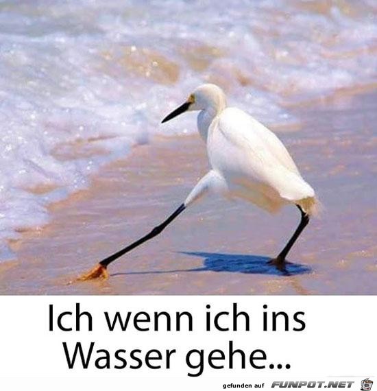 So sieht das bei mir auch aus So sieht das bei mir auch aus