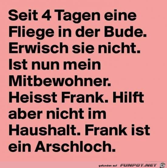 Böser Frank Böser Frank