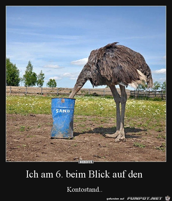 Blick auf den Kontostand Blick auf den Kontostand