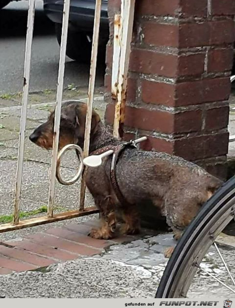 gute Idee gute Idee