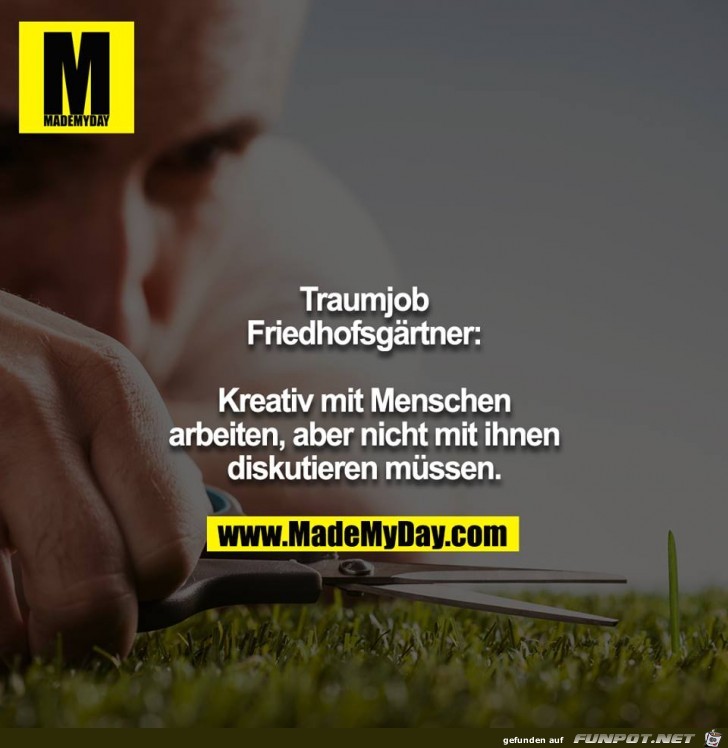 Traumjob Traumjob
