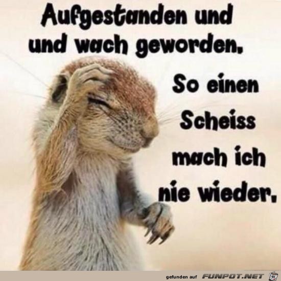 aufgestanden und wach geworden.........