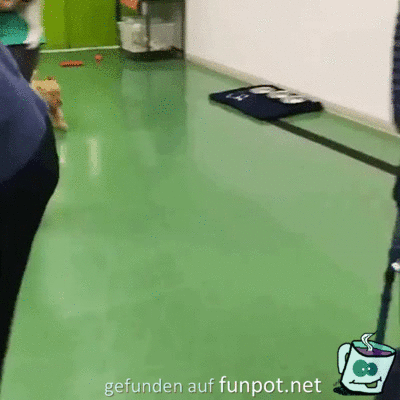 Bällebad Bällebad