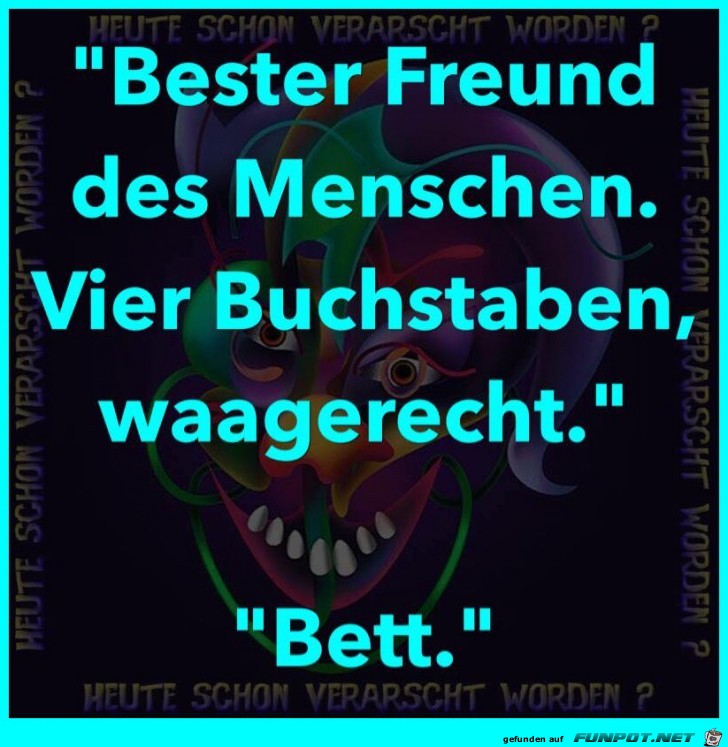 Bester Freund des Menschen