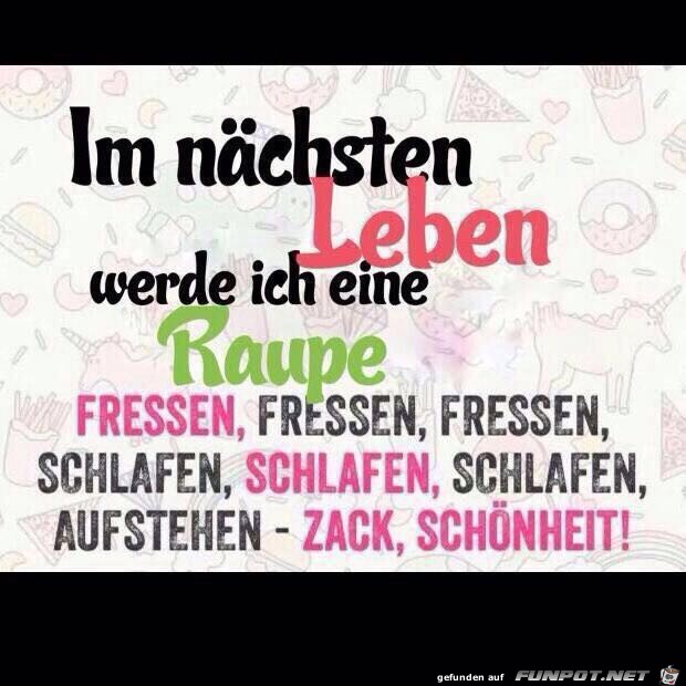 Eine Raupe Eine Raupe