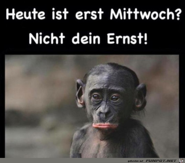Mittwoch Mittwoch