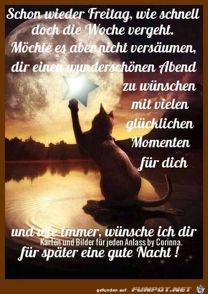 Schon wieder Freitag Schon wieder Freitag