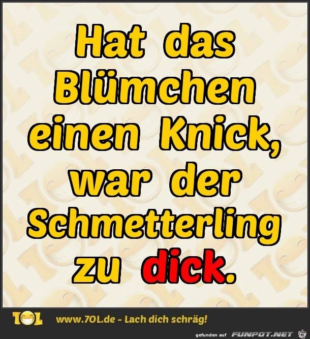 Blümchen Blümchen