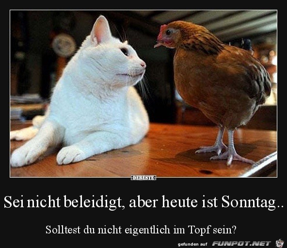 sei nicht beleidigt...... sei nicht beleidigt......