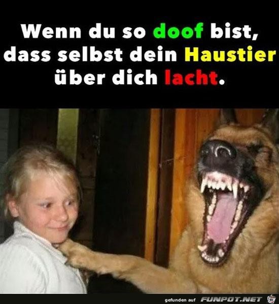 wenn du so doof bist....