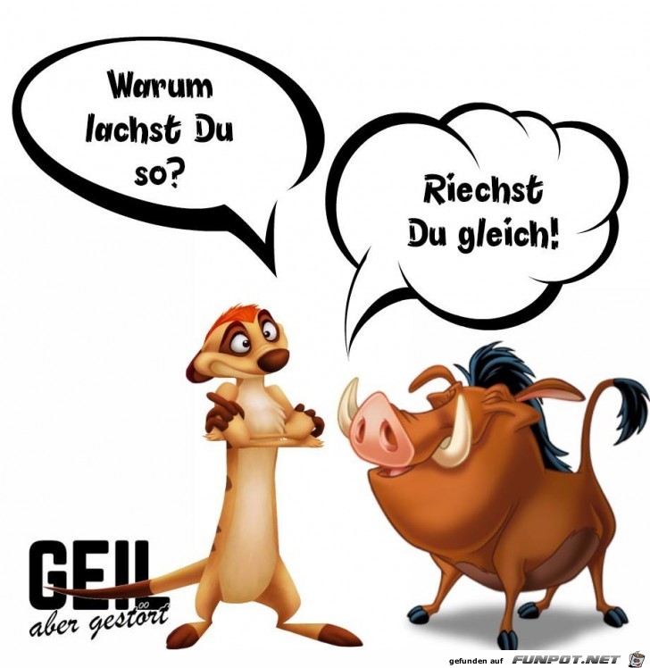 Warum lachst du so Warum lachst du so