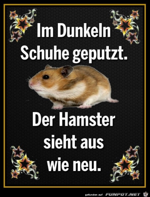 Im Dunkeln Schuhe geputzt Im Dunkeln Schuhe geputzt