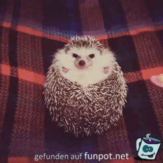 Riecht lecker Riecht lecker