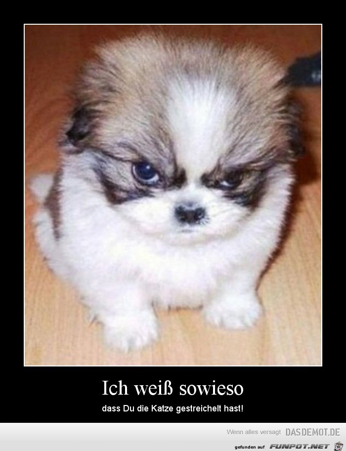 Ich weiß es ! Ich weiß es !
