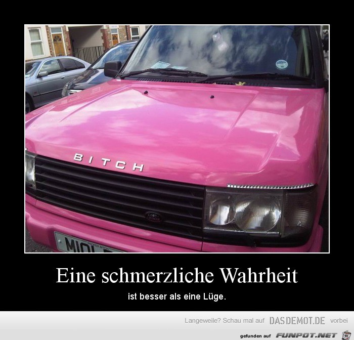 Eine schmerzliche Wahrheit... Eine schmerzliche Wahrheit...