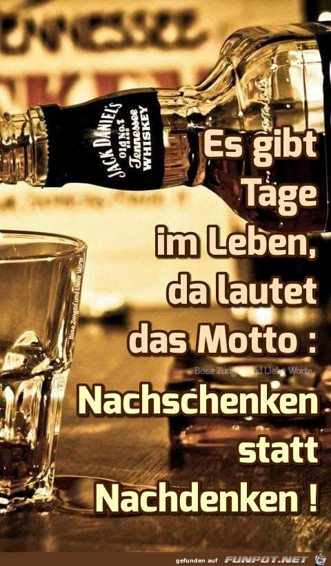 Das neue Motto Das neue Motto