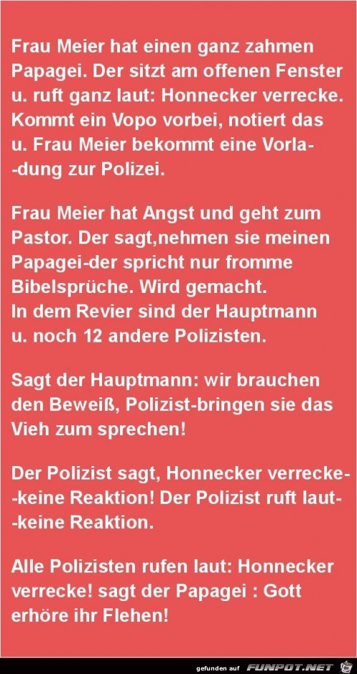 Frau Meier hat einen ganz zahmen Papagei..... Frau Meier hat einen ganz zahmen Papagei.....