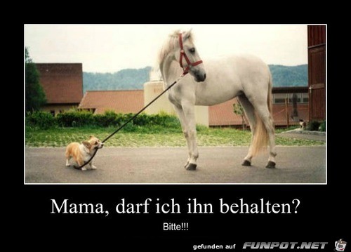 Ich will ihn behalten Ich will ihn behalten