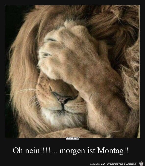 Oh nein.... morgen ist Montag!