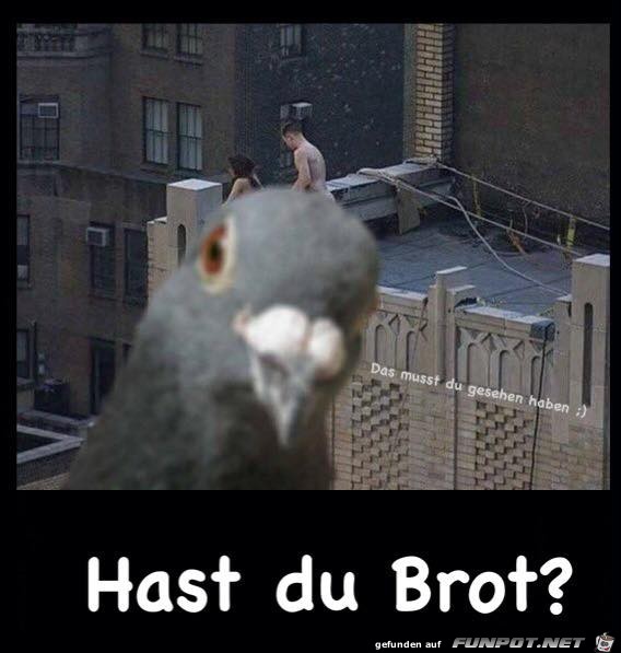 Einer steht immer im Bild Einer steht immer im Bild