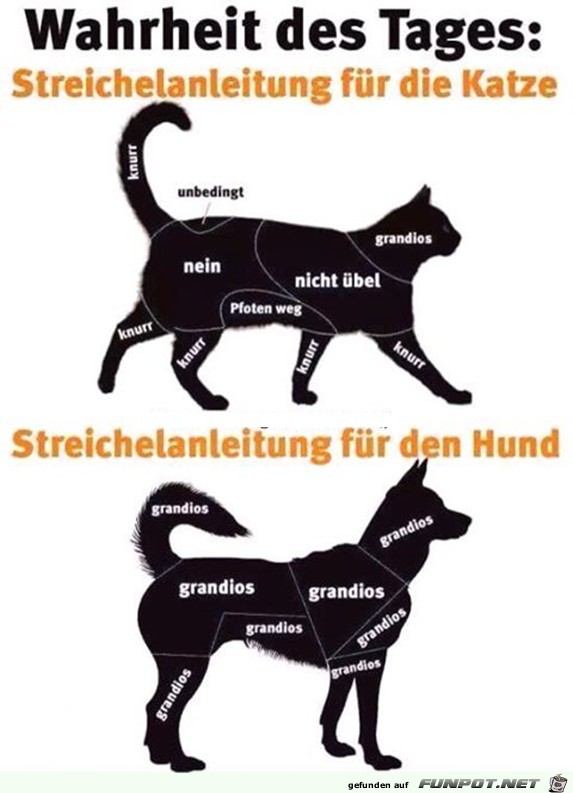 Tages-Wahrheit Tages-Wahrheit