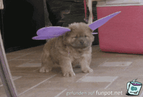 Flirten kann ich Flirten kann ich