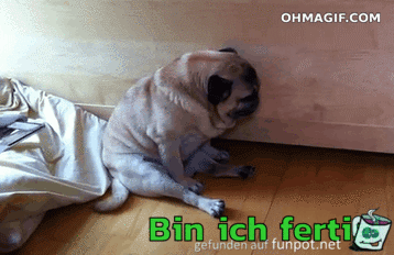 Bin ich fertig Bin ich fertig