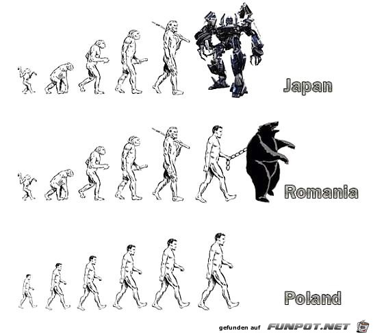 history of evolving 2