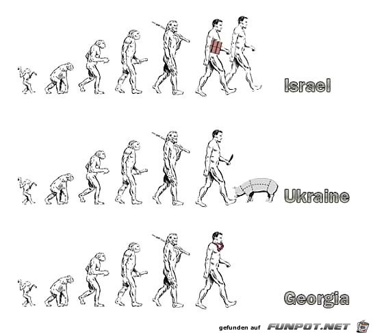 history of evolving 3
