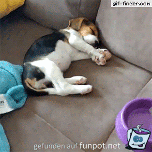 Schnell aufstehen Schnell aufstehen