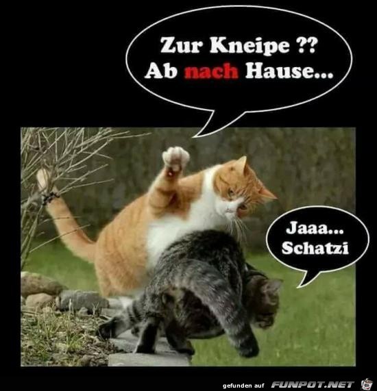 Ab nachhause Ab nachhause