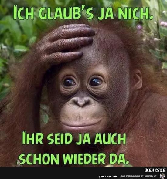 ich glaub´s ja nicht..... ich glaub´s ja nicht.....