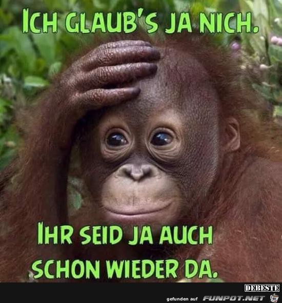 ich glaubs ja nicht.....