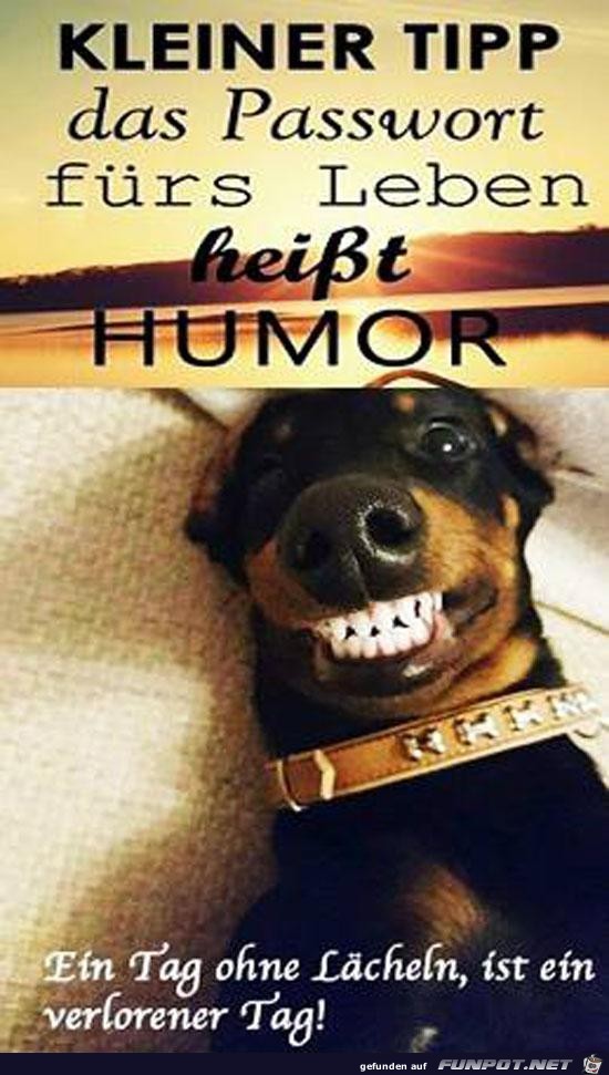 kleiner Tipp....... kleiner Tipp.......