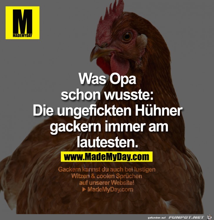 Was Opa schon wusste Was Opa schon wusste