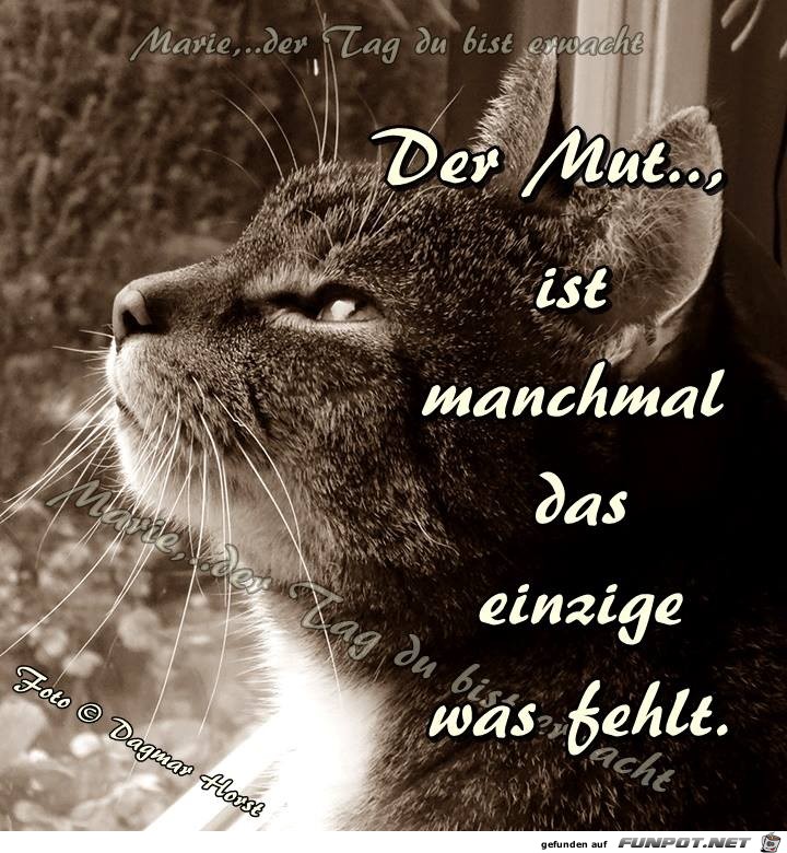 Der Mut