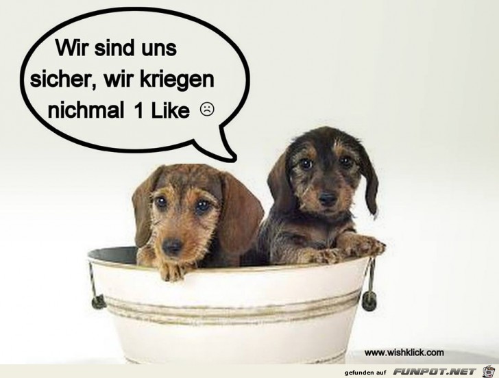 Sind uns sicher Sind uns sicher