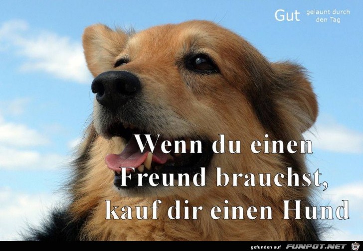 Wenn du einen Freund brauchst Wenn du einen Freund brauchst