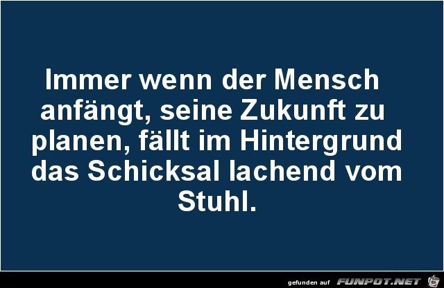 immer wenn der Mensch anfängt........ immer wenn der Mensch anfängt........