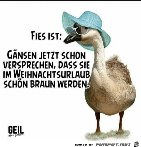 fies ist:........