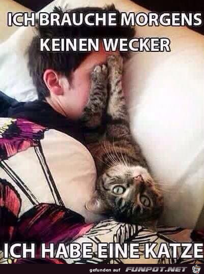 Kein Wecker nötig Kein Wecker nötig