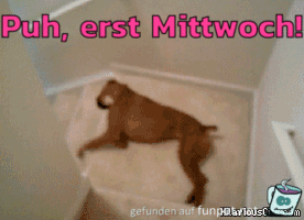 Erst Mittwoch Erst Mittwoch
