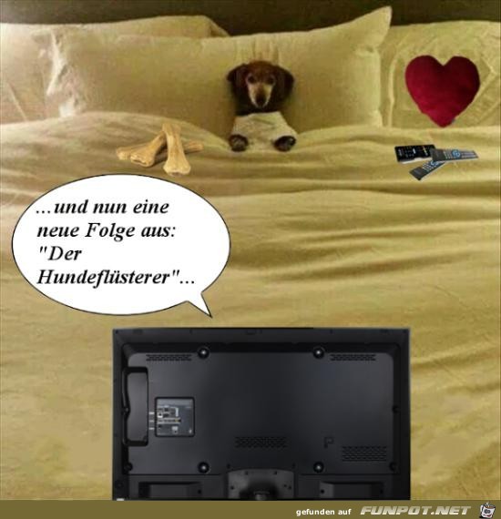 Fernsehabend im Bett Fernsehabend im Bett