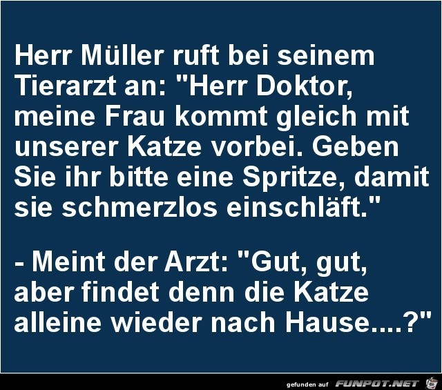 Herr Müller ruft bei seinem Tierarzt an....... Herr Müller ruft bei seinem Tierarzt an.......