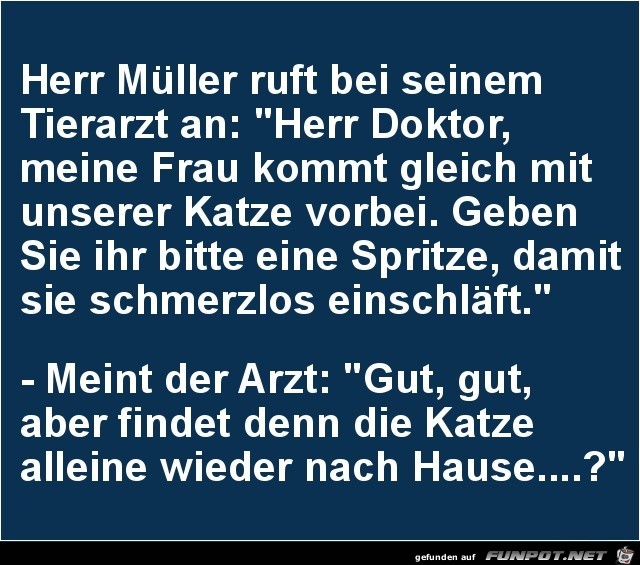 Herr Mller ruft bei seinem Tierarzt an.......