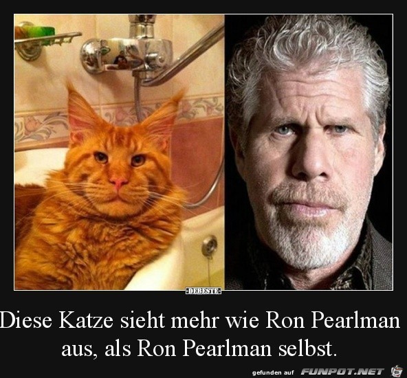 Da ist was dran Da ist was dran
