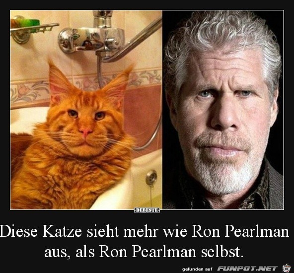 Da ist was dran