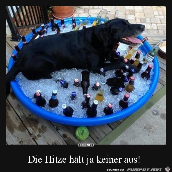 Ziemlich heiß Ziemlich heiß