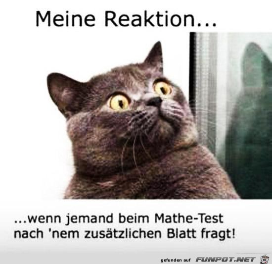 Mein Blick Mein Blick