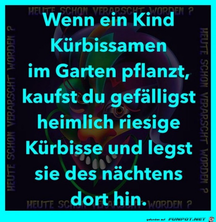 Kürbissamen Kürbissamen